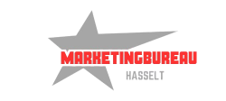 Marketingbureau Hasselt logo